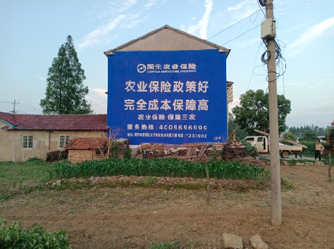 绥德墙体广告的优劣势你知道吗？